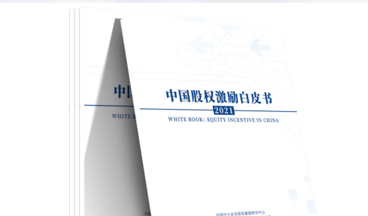 多家媒體聯合發布 | 聚焦華一世紀2021年中國股權激勵白皮書